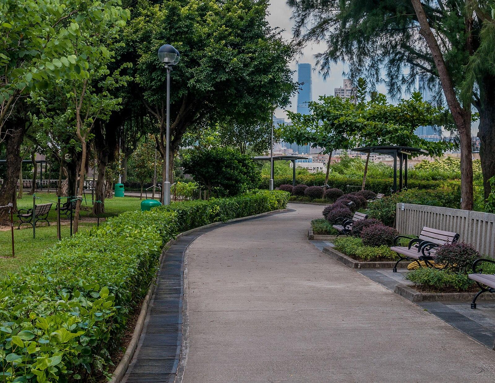 Inside Look at Hong Kong’s Dim Sum Neighbourhoods Reveals Unique Community Vibes