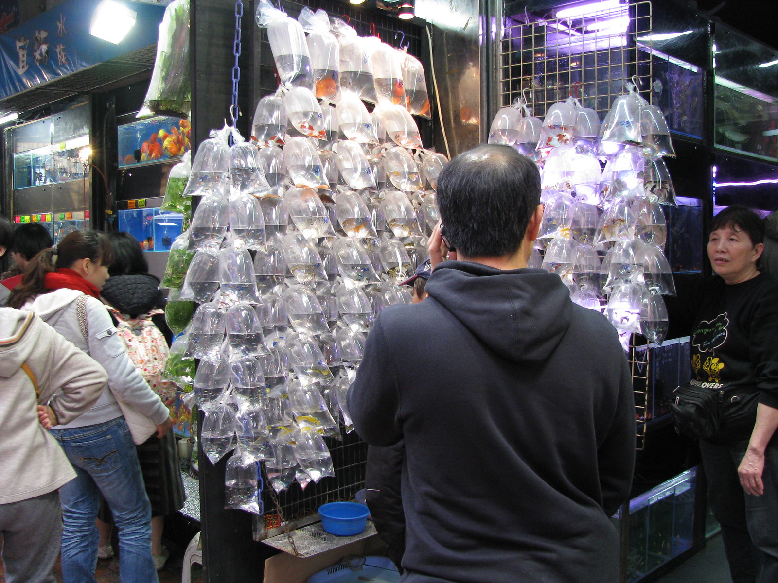 Ladies' Market and Goldfish Street on Tung Choi Street Continue to Draw Crowds in Mong Kok
